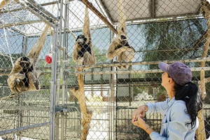 Gibbon Conservation Center
