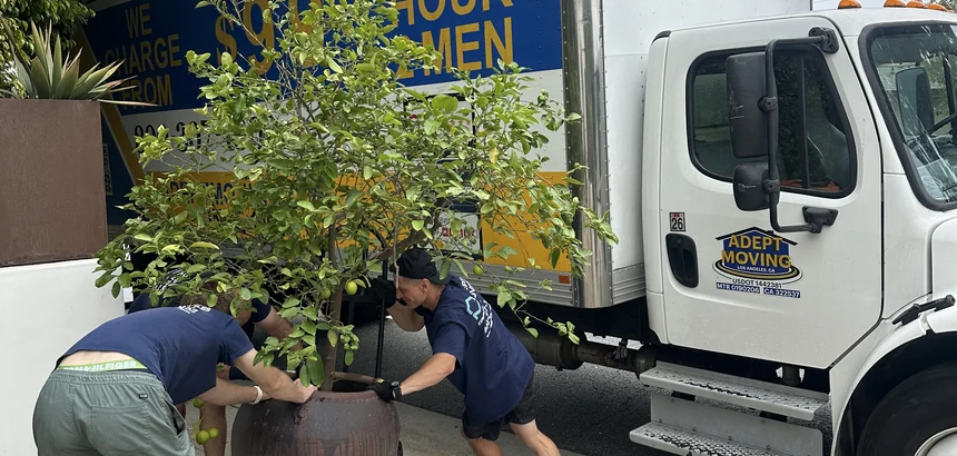 Adept Moving truck on 26th Street in Santa Monica, 90402