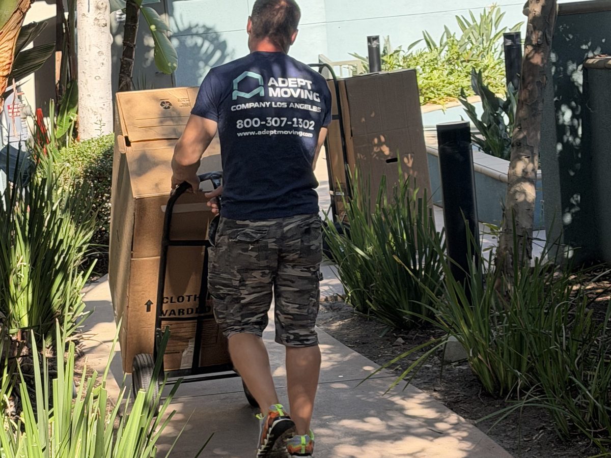 Adept Moving mover carrying wardrobe cartons along the walkway off North Central Avenue in Glendale