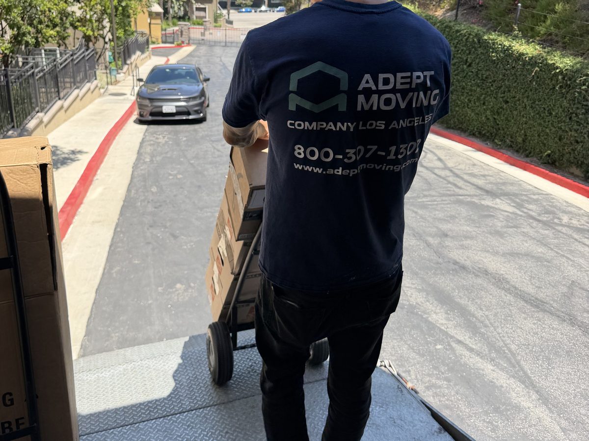 Adept Moving mover on the truck liftgate with a loaded dolly