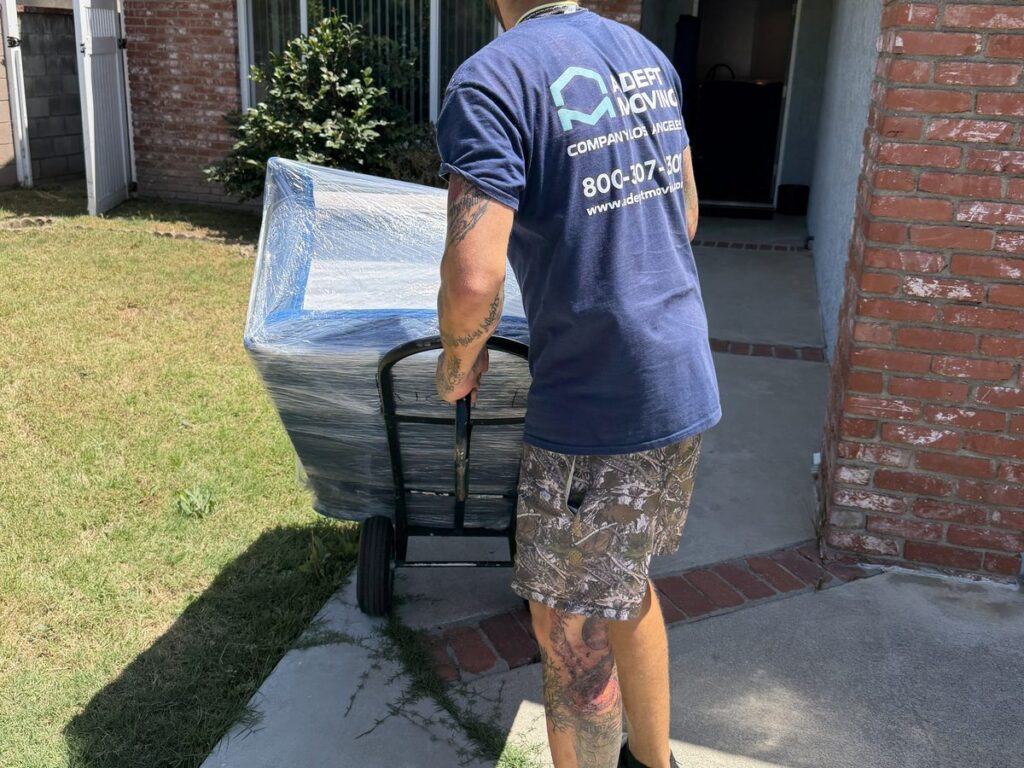 An Apartment-to-House Move from Woodman Ave to Leadwell St in Van Nuys